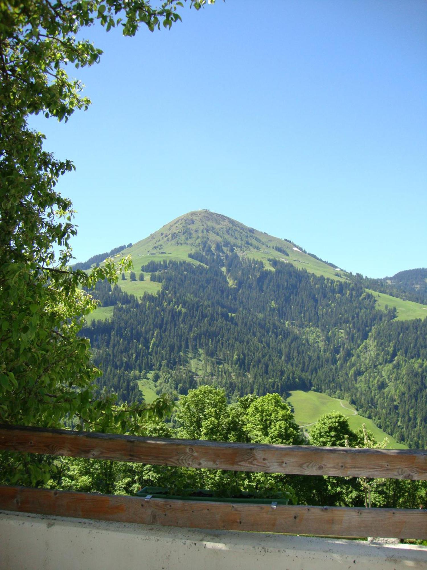 Alpengasthof Gruberhof Söll Exterior foto